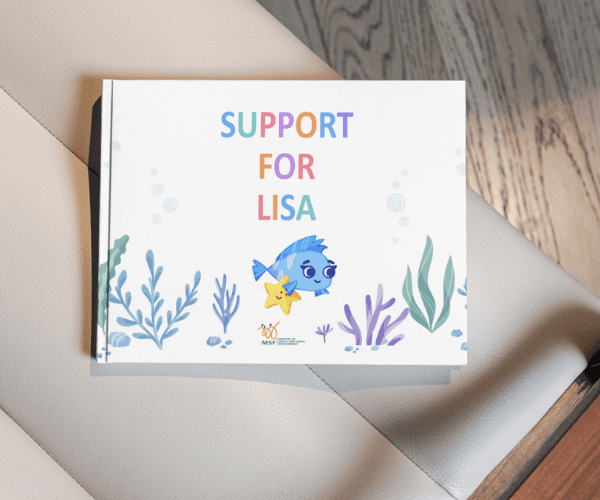 Fostering Book Suuport for Lisa V2