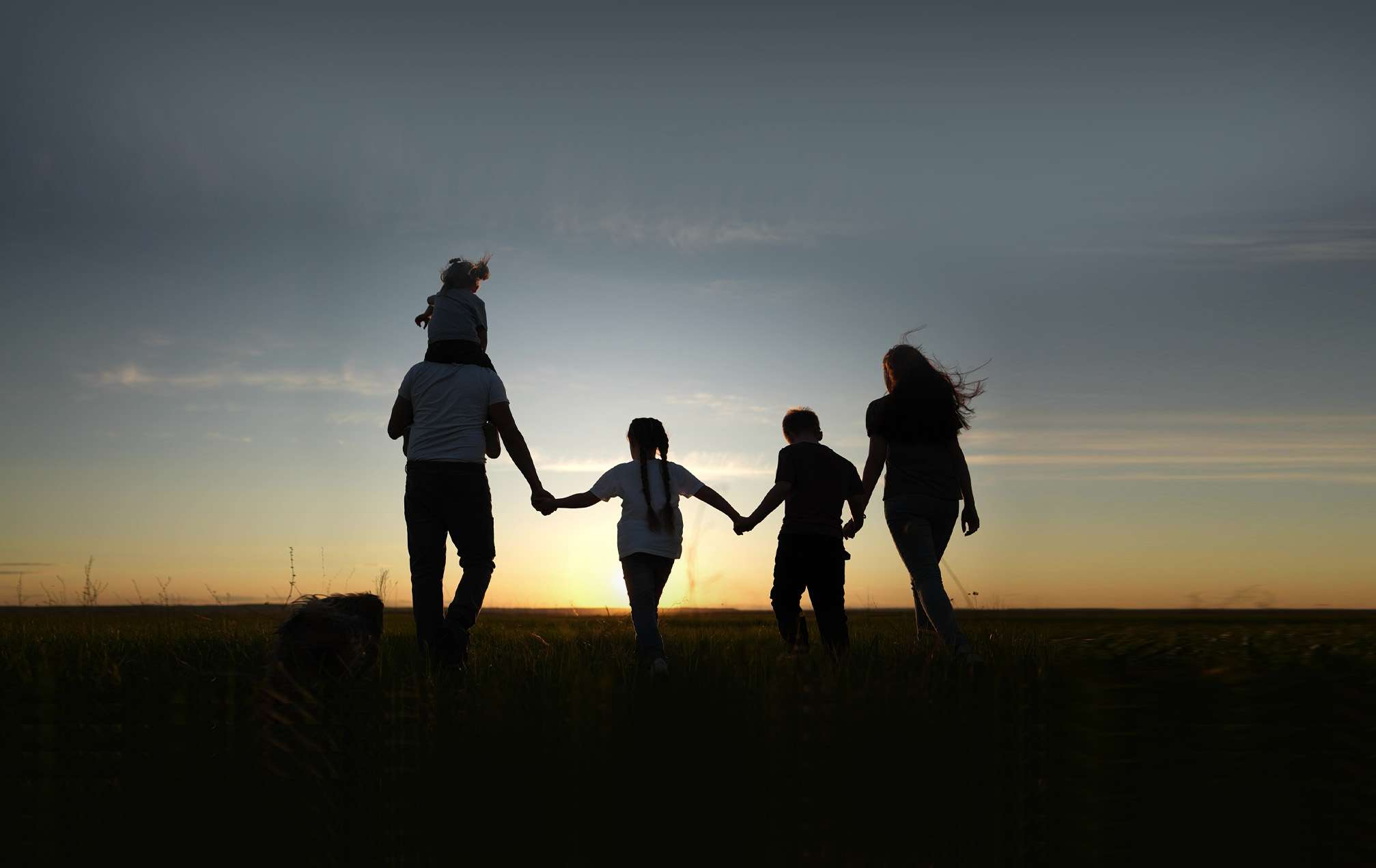 Famatfsc Banner.jpg