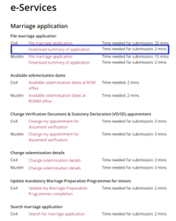 Download Summary of Application