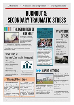 Practice Issues Infographic