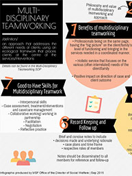 Fundamentals of social work Infographic