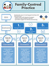 Practice Issues Infographic