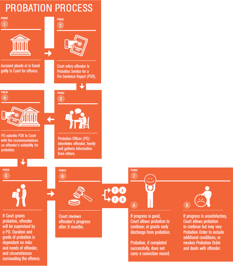 probation process flow chart